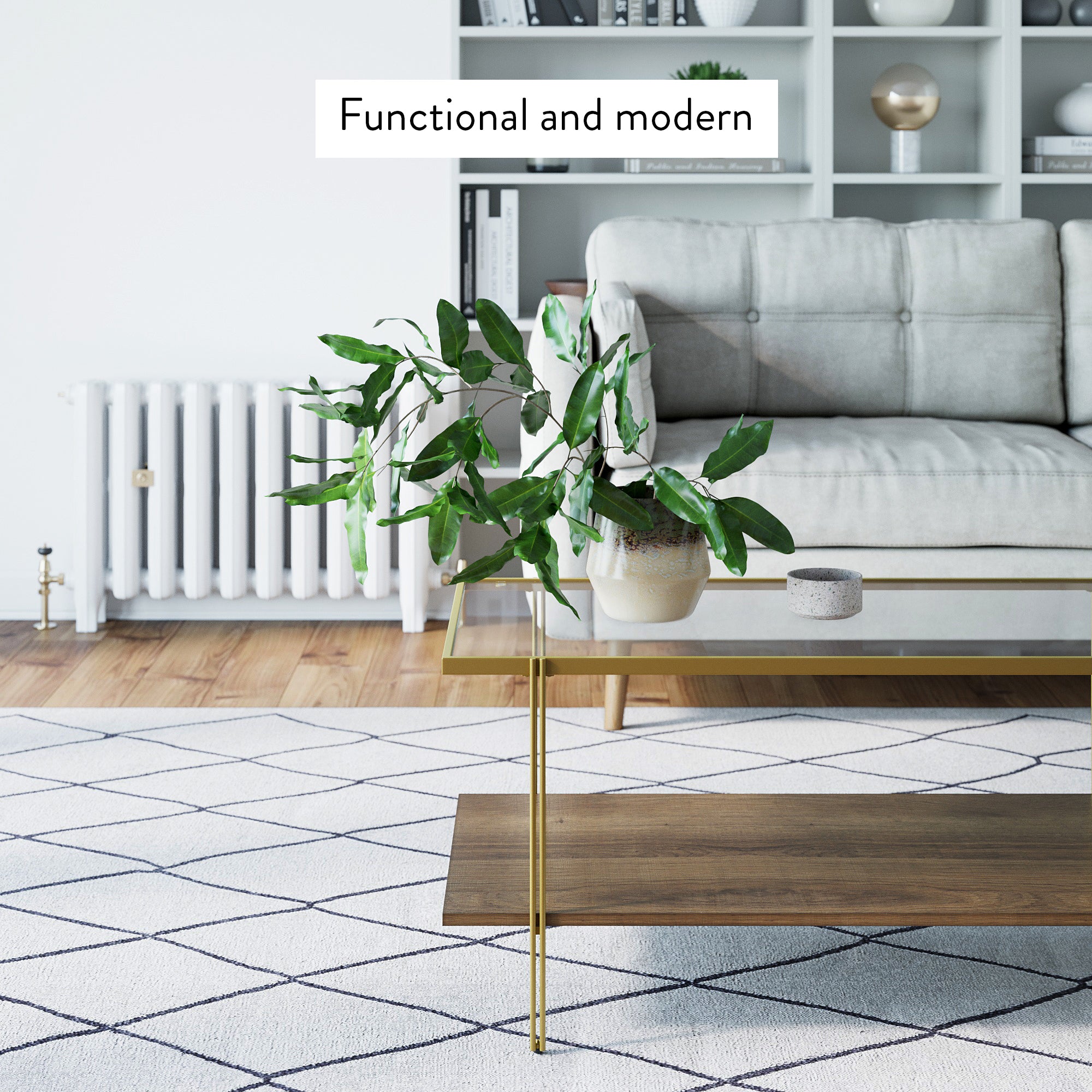 A modern living room with a light gray sofa, a glass coffee table with gold legs, a potted plant, a patterned rug, and built-in shelves. Text reads “Functional and modern.”.