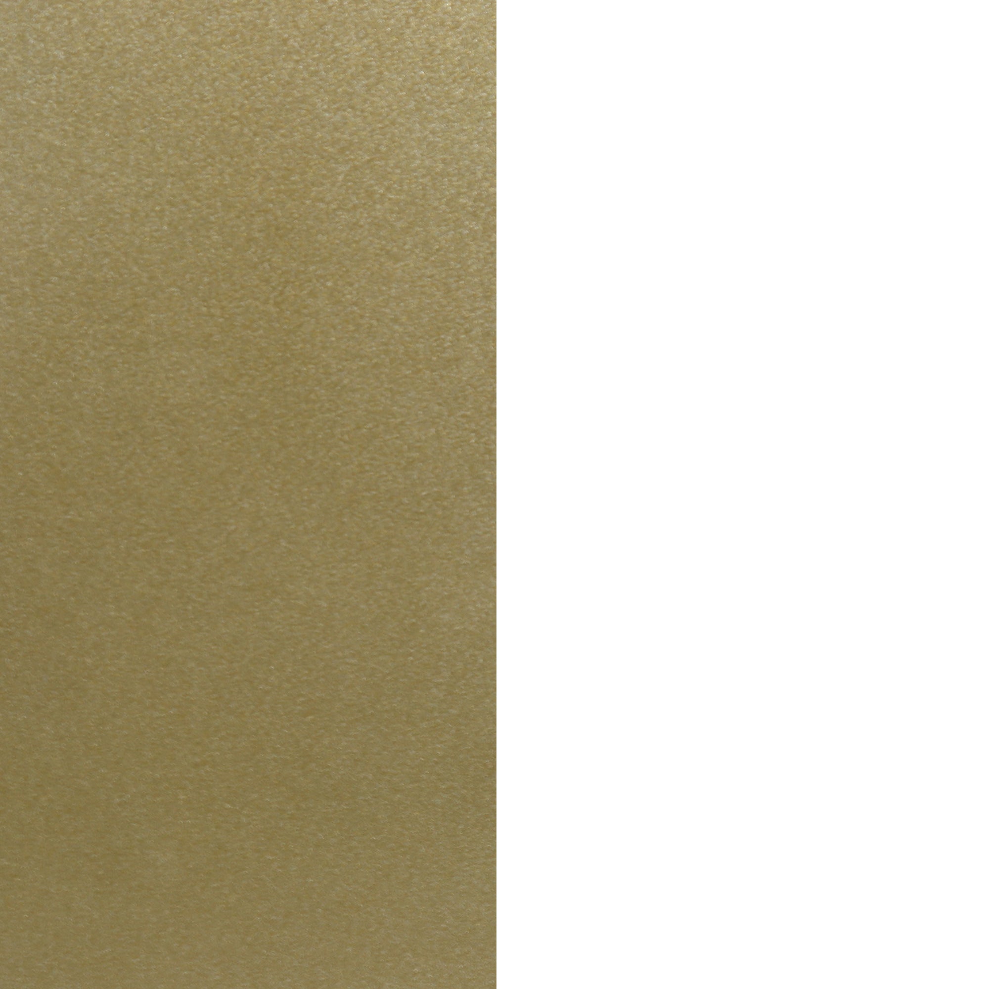 A vertically split image with the left half featuring a textured gold surface and the right half a plain white background.