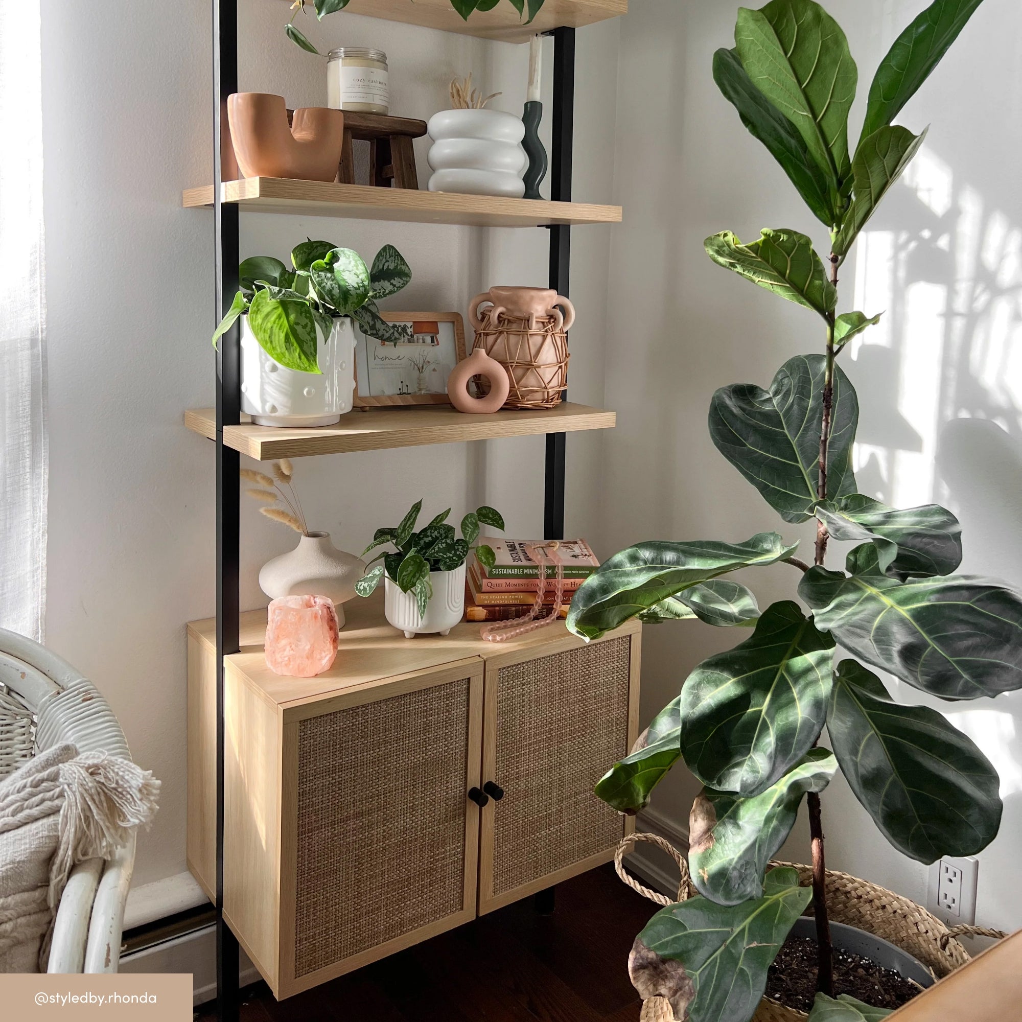 A sunlit corner with a wooden shelf displaying potted plants, decorative items, books, and a pink crystal. A fiddle leaf fig in a basket sits beside the shelf; a white chair is partially visible on the left.