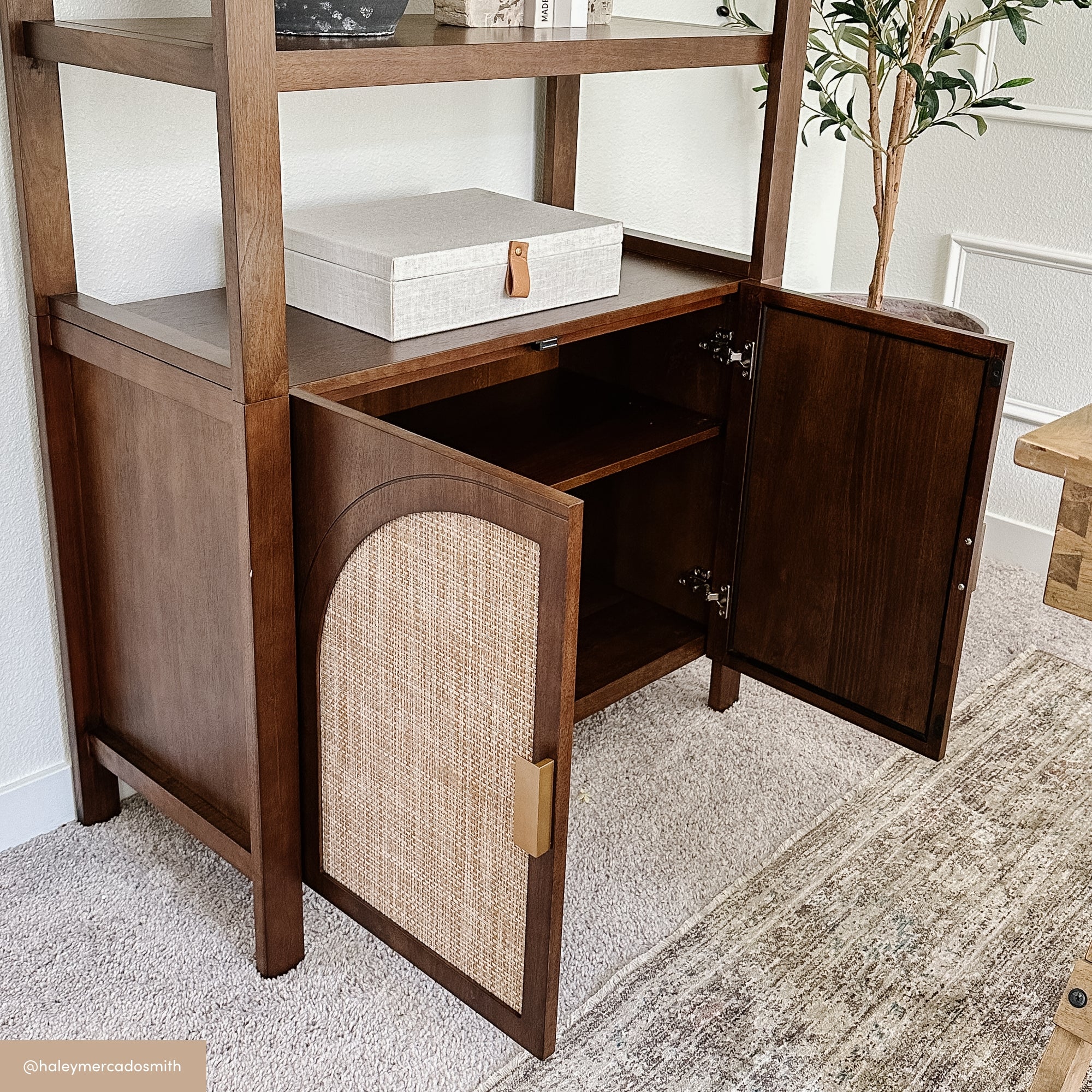 A wooden cabinet with two open doors reveals a spacious interior and shelf. One door features a woven rattan panel and a gold handle. The cabinet stands on a rug in a bright, modern room with an olive tree plant nearby.