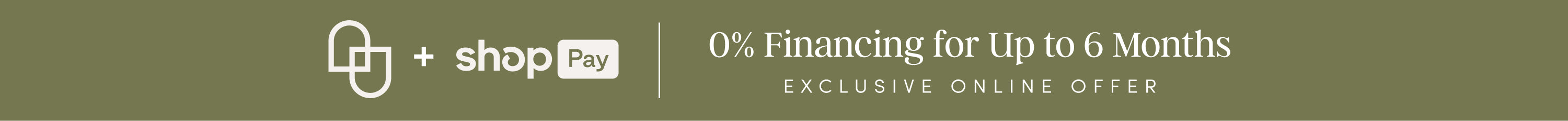 A green banner with logos for Shop Pay and text: 0% Financing for Up to 6 Months. Exclusive Online Offer.