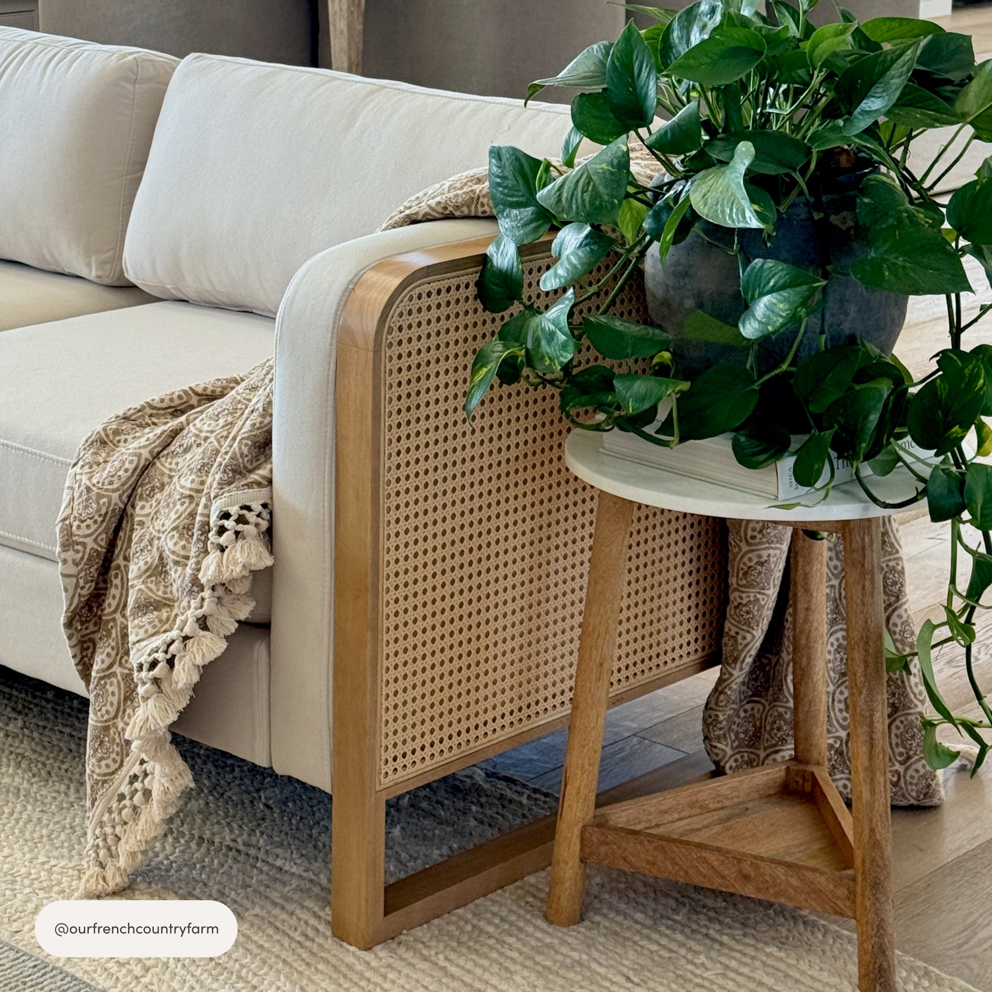 A beige sofa with a textured throw blanket draped over the side sits next to a small wooden table holding a lush potted plant with trailing green leaves.