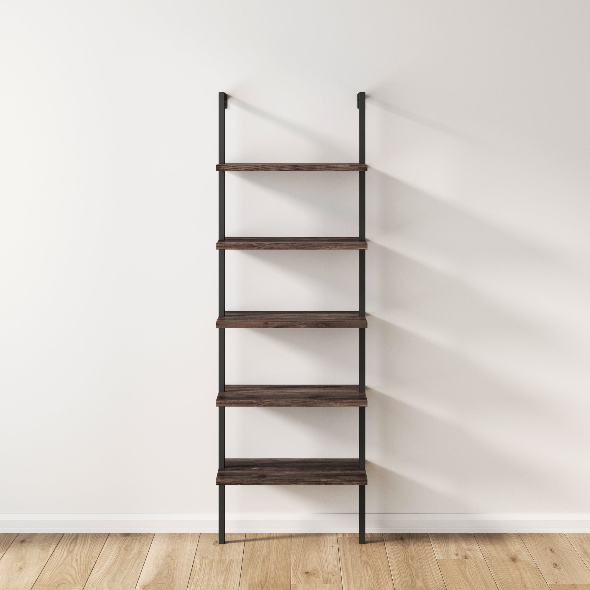 Wood & Metal Ladder Wall Bookshelf
