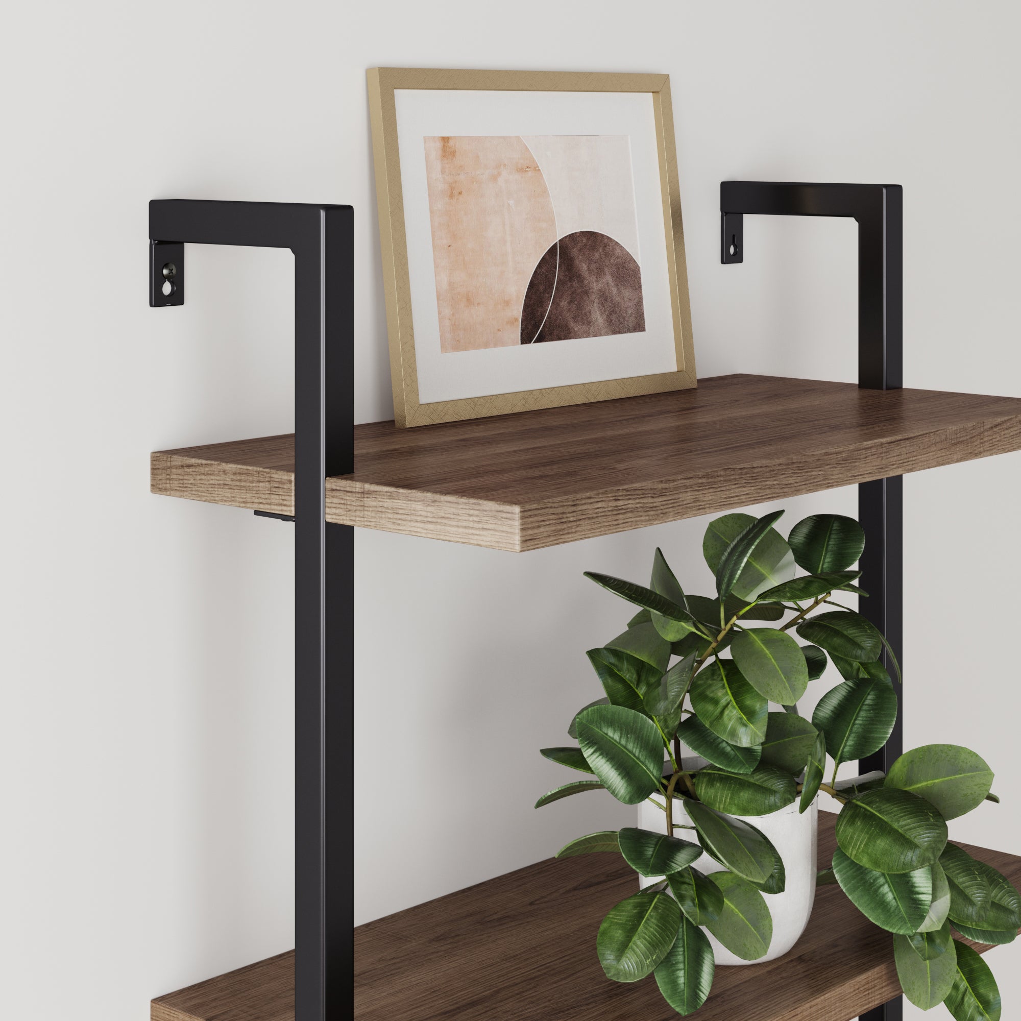 Mounted store ladder shelf