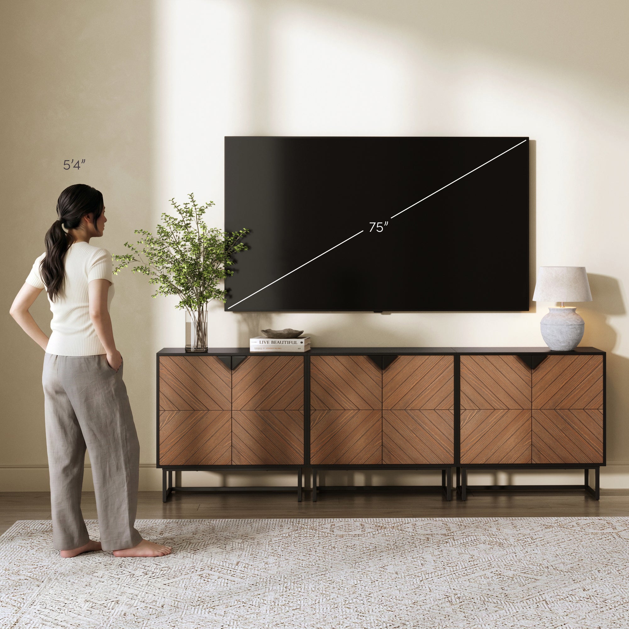 Enloe TV Console Wood Seagrass Doors Brushed Black 75