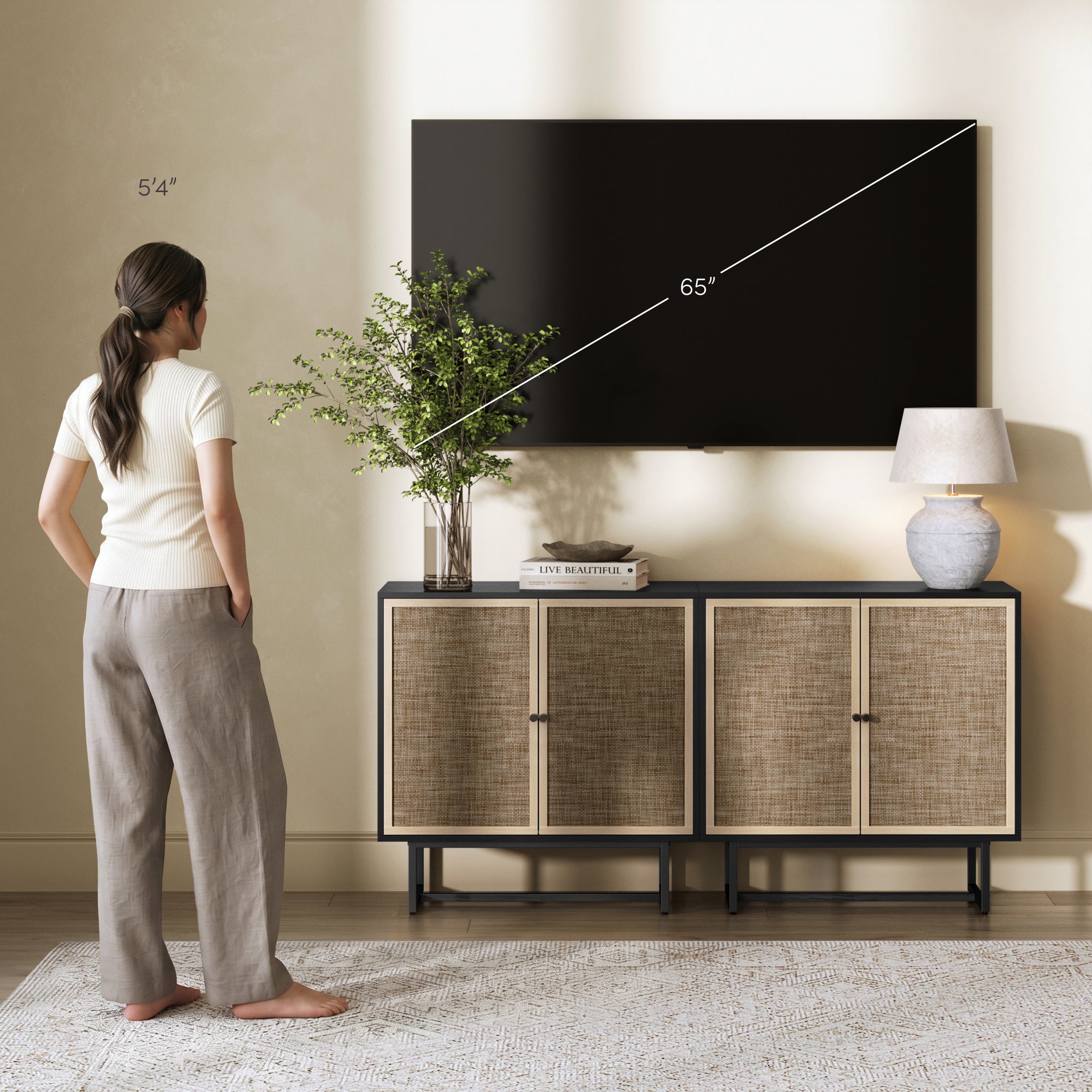 Metal and Rattan TV Stand Console for TVs up to 65" Black Oak - Nathan James