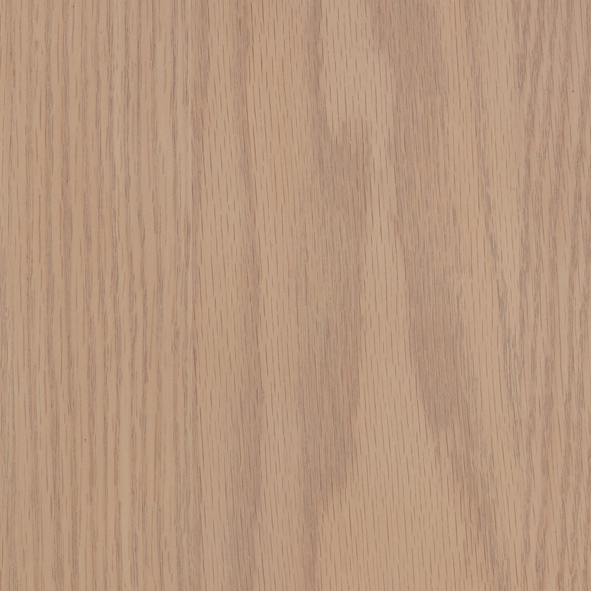 Mason Storage Cabinet Wood Raw Oak Curio | Nathan James